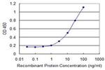 DCK Antibody in ELISA (ELISA)