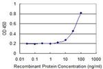 GAMT Antibody in ELISA (ELISA)