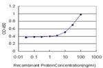 GPD1 Antibody in ELISA (ELISA)