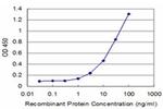 ID1 Antibody in ELISA (ELISA)