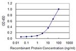 IDH3G Antibody in ELISA (ELISA)