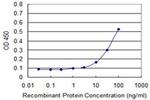 PHKG2 Antibody in ELISA (ELISA)