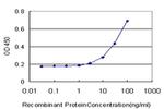 PKN1 Antibody in ELISA (ELISA)