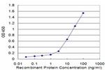 RABIF Antibody in ELISA (ELISA)