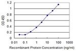 SNAPC4 Antibody in ELISA (ELISA)