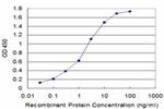 USP9X Antibody in ELISA (ELISA)