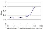 4E-BP3 Antibody in ELISA (ELISA)