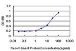 PIGL Antibody in ELISA (ELISA)