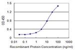 eIF5B Antibody in ELISA (ELISA)