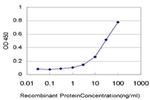 TOPORS Antibody in ELISA (ELISA)