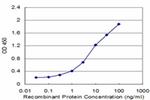 p40 Antibody in ELISA (ELISA)