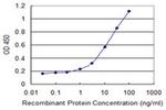 B3GNT3 Antibody in ELISA (ELISA)