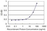 SALF Antibody in ELISA (ELISA)