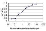 NUDT3 Antibody in ELISA (ELISA)