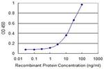 KCNMB3 Antibody in ELISA (ELISA)