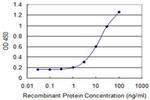 SULT1C2 Antibody in ELISA (ELISA)