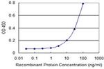 SLC6A16 Antibody in ELISA (ELISA)