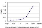 RAPGEFL1 Antibody in ELISA (ELISA)