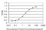 SCAND1 Antibody in ELISA (ELISA)