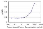 PARL Antibody in ELISA (ELISA)