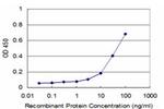 ITFG2 Antibody in ELISA (ELISA)