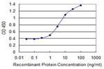 ZNF71 Antibody in ELISA (ELISA)