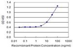 TSKS Antibody in ELISA (ELISA)