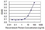 RBKS Antibody in ELISA (ELISA)