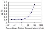 PANK3 Antibody in ELISA (ELISA)