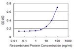 GRINL1A Antibody in ELISA (ELISA)