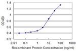 AMID Antibody in ELISA (ELISA)