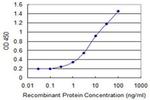 DEPDC7 Antibody in ELISA (ELISA)