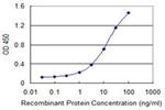 SNX20 Antibody in ELISA (ELISA)