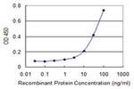 Adenylate Kinase 9 Antibody in ELISA (ELISA)