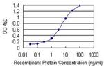 RNF212 Antibody in ELISA (ELISA)