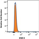 STAT3 Antibody in Flow Cytometry (Flow)