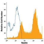 Nestin Antibody in Flow Cytometry (Flow)