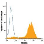 Nestin Antibody in Flow Cytometry (Flow)