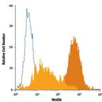 Nestin Antibody in Flow Cytometry (Flow)