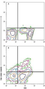 TIM-1 Antibody in Flow Cytometry (Flow)