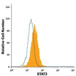 STAT3 Antibody in Flow Cytometry (Flow)