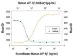 CCL4 Antibody