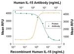 IL-15 Antibody