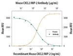 CXCL2 Antibody