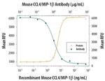 CCL4 Antibody