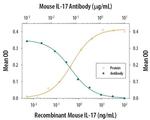 IL-17 A/F Antibody