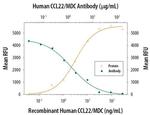 MDC Antibody