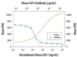 IGF1 Antibody