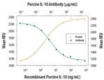 IL-10 Antibody