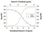 IL-19 Antibody